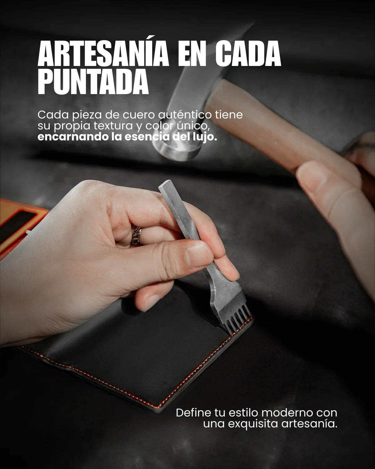 Billetera Radical Deluxe