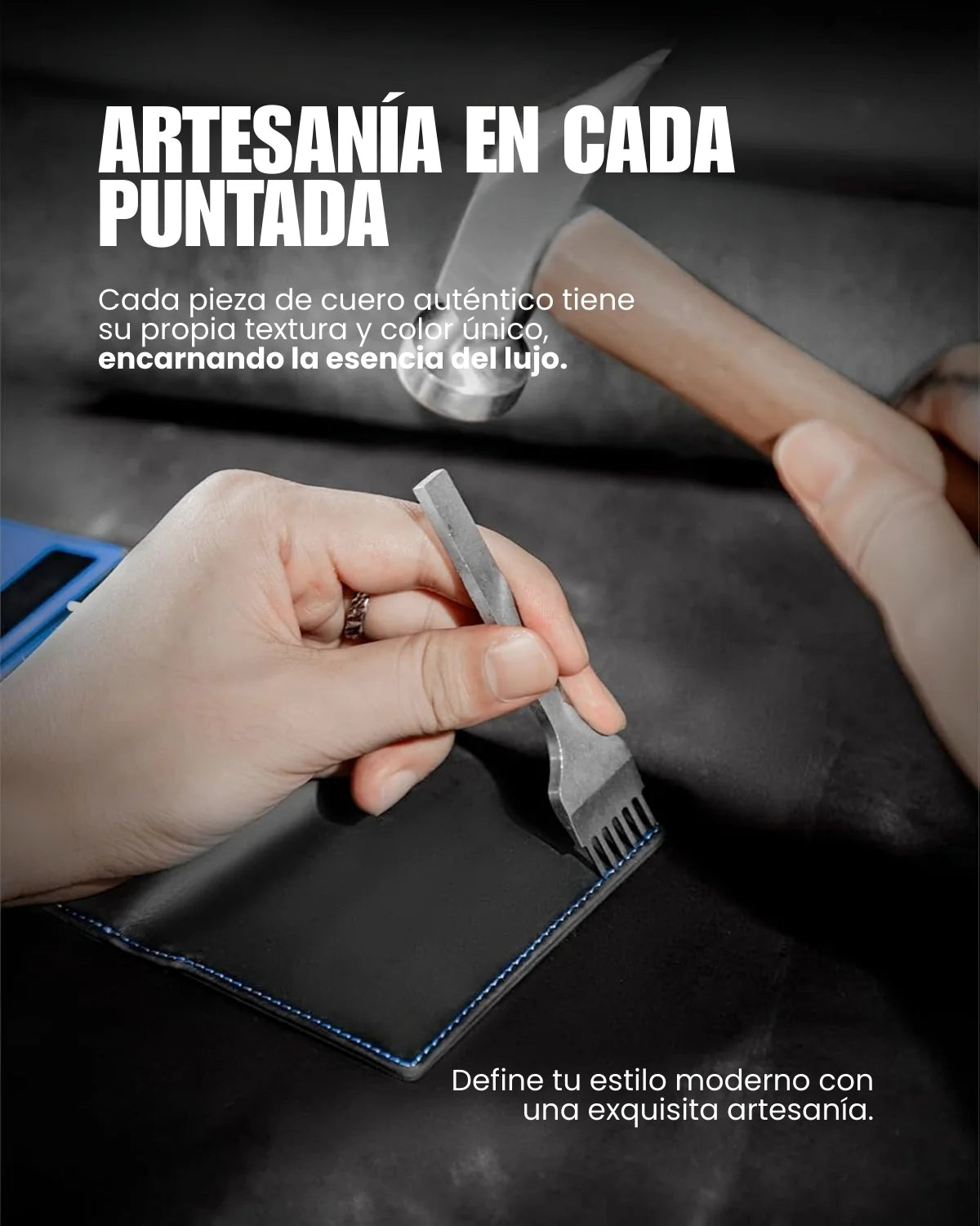 Billetera Radical Deluxe