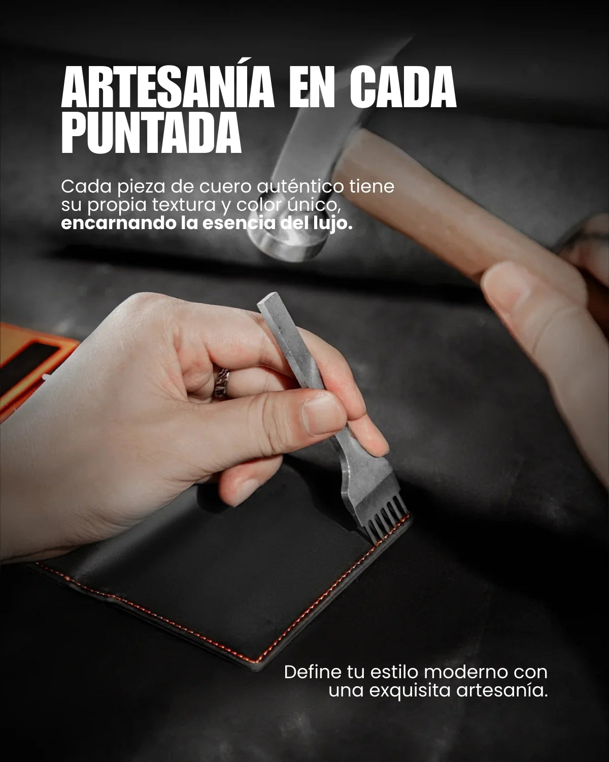 Billetera Radical Deluxe