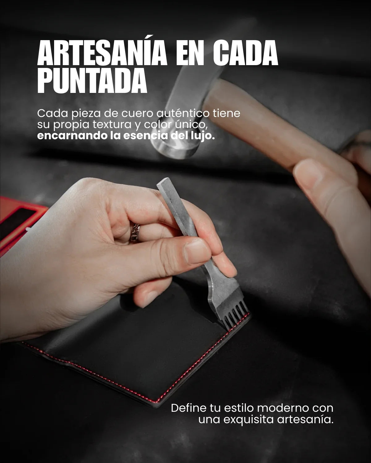 Billetera Radical Deluxe